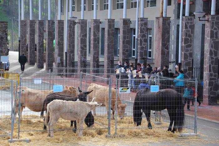 Berastegiko gaztarik onena A 57 1608397945388