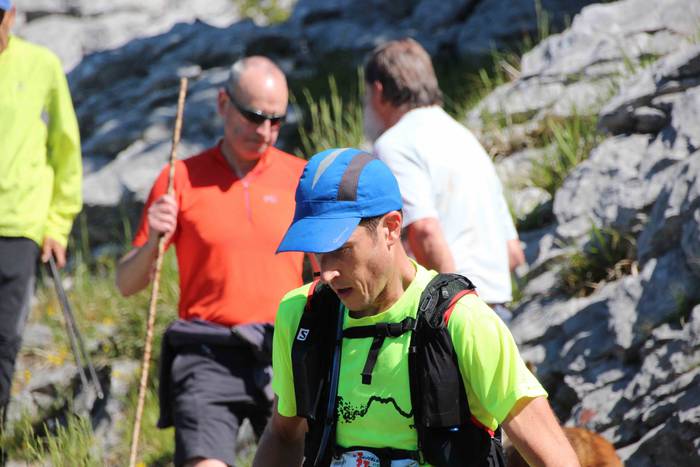 T3T, Hernio 2019 66 1560688436603