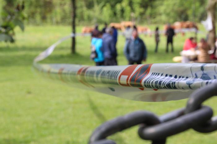 Amasamendiko larreetan bazka 26 1525172958876