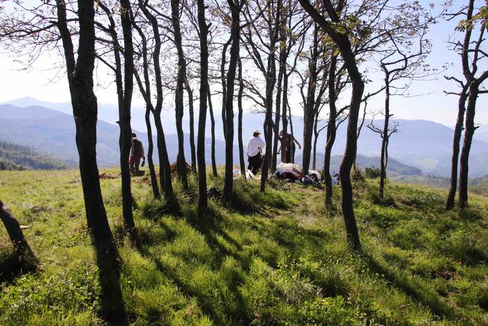 Saseta Defentsa Sistema auzo 13 1658491982061