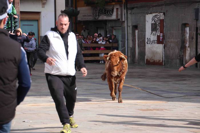 Soka zintzilik eta muturrak  59 1646140708537