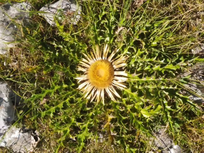 Mendian, bertakoa baloratzen 6 1597258689549