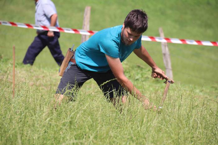 Erabaki dira Euskal Herriko  54 1532870582363