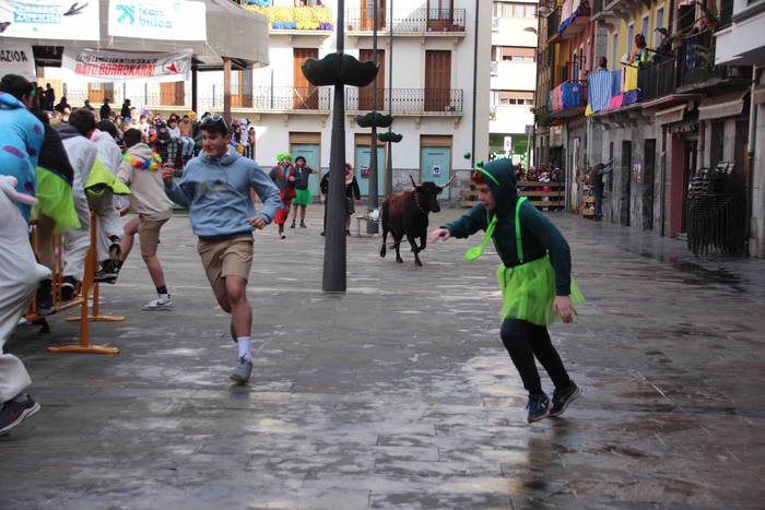 Soka zintzilik eta muturrak  19 1646140693803