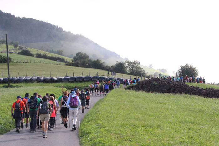 2016 bidea 31 1471775970330