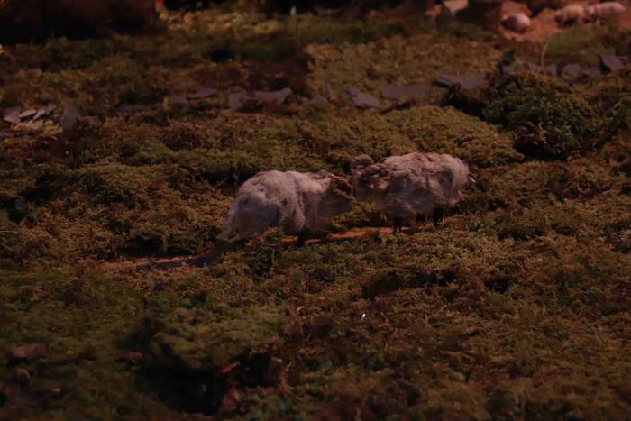 Aspaldiko ohiturak jaiotza batean 9 1545153579556