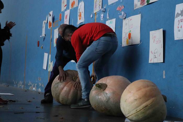 Gau beltzarako dena prest du 10 1635699671406