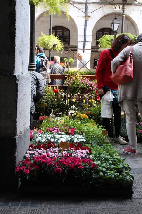 Udaberria loratu da Tolosan 18 1526734090113