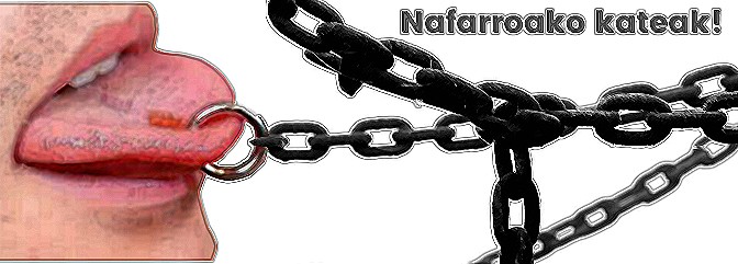 Nafarroako kateak