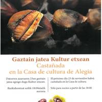 Gaztaina jatea