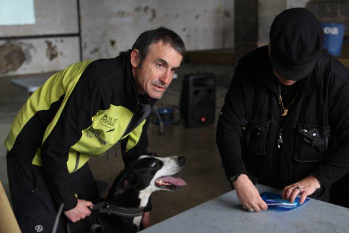 Zizurkil, txakur krosa 1 1490473809204