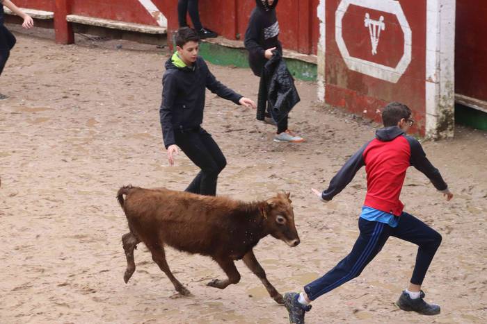 Txikienak zezen txikien aurr 36 1552240895919