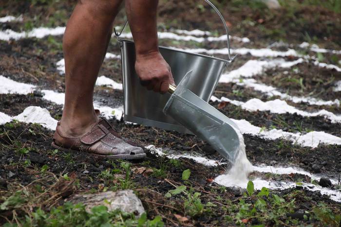 Zumetari omenaldi "intimoa"  30 1599334876789