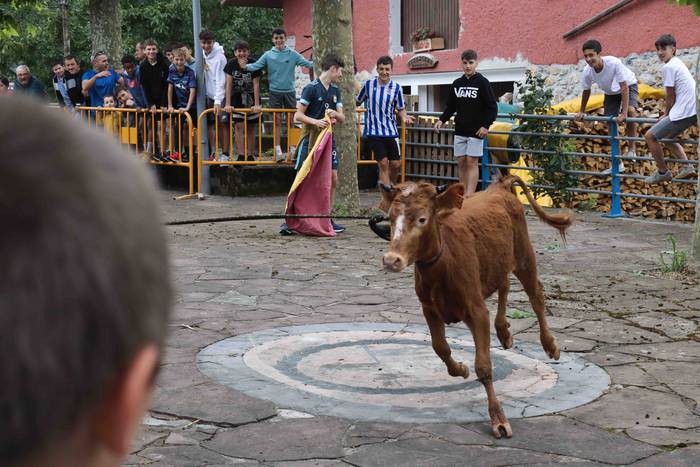 Zezen txikien aurretik 3 1656263611711