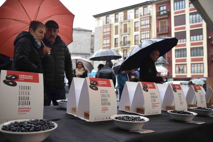 Sebar Garitziarenaren babarr 11 1573912523316