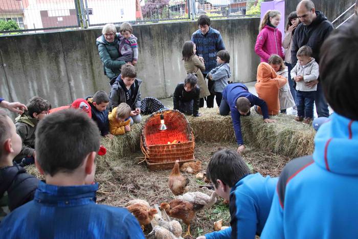 VIII. Udaberriko Azokaz goza 39 1558278844392