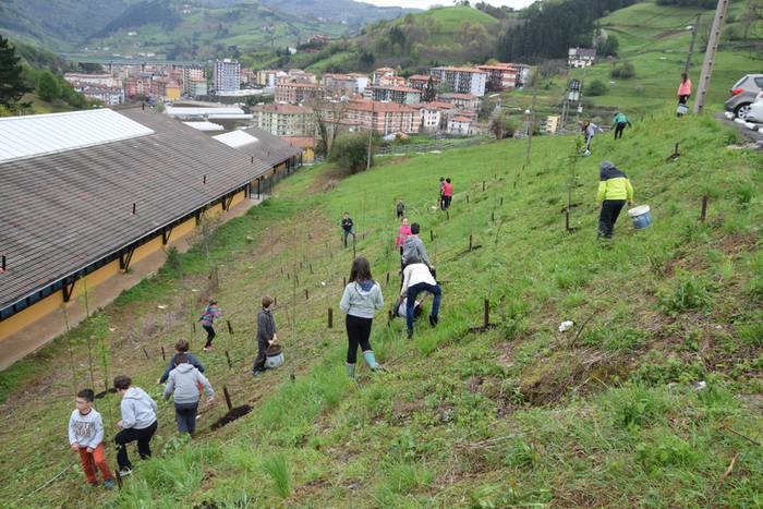 Zuhaitz eguna Ibarra 14 1460992039980