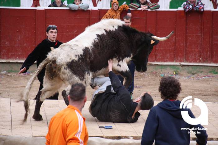 Zezenak adarrak okerrak ditu 91 1488277680337