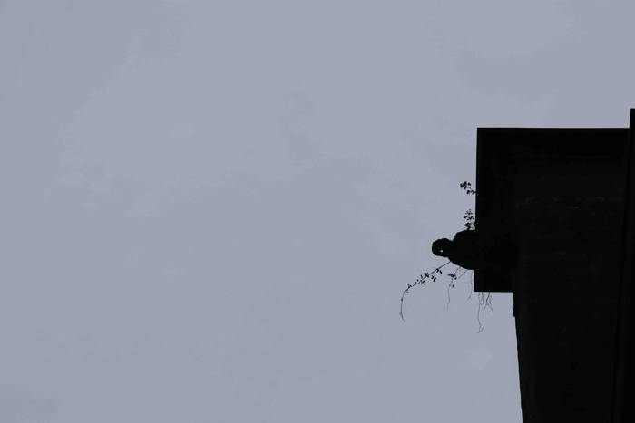 Muskerraren Bidea egin dute  28 1609069181705