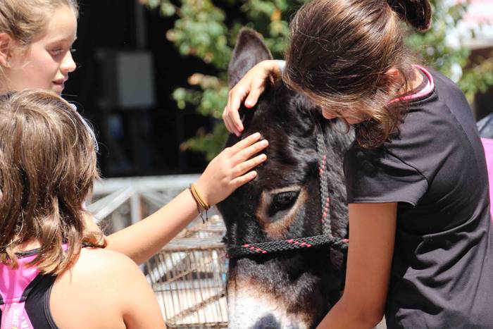 Suziriari aurrea hartu diote 15 1565791747513