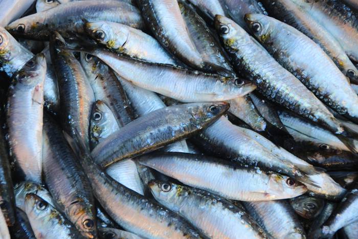 Haurrak jolasean, helduak jan eta edanean 36 1468672150024