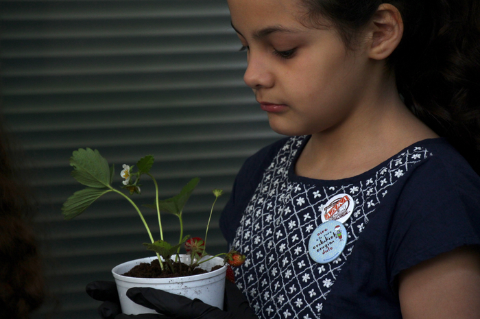 Ukitu, dastau baino lehen 8 1494071583465