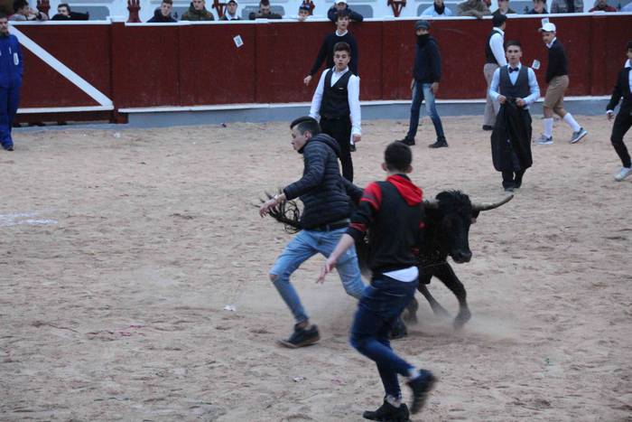 Pattar zezena 28 1582622101940