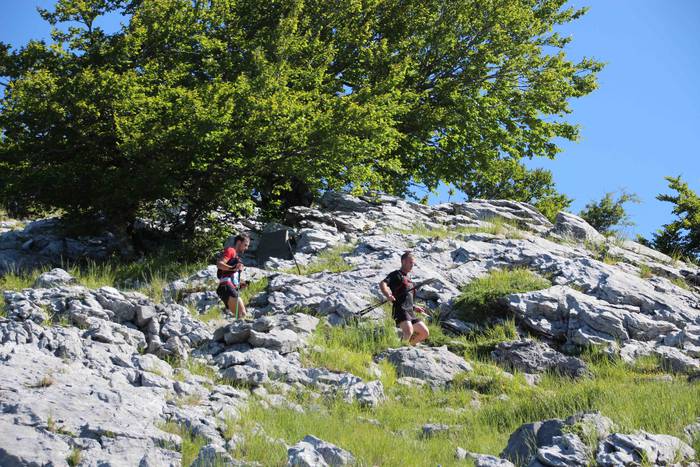 T3T, Hernio 2019 44 1560687999838