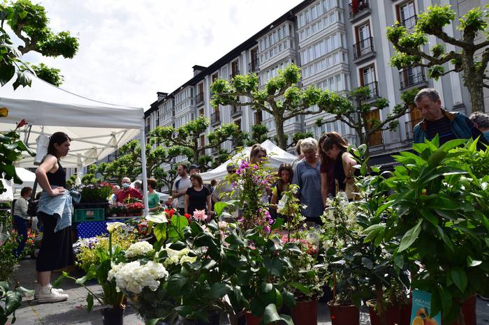 Lore eta landare azoka