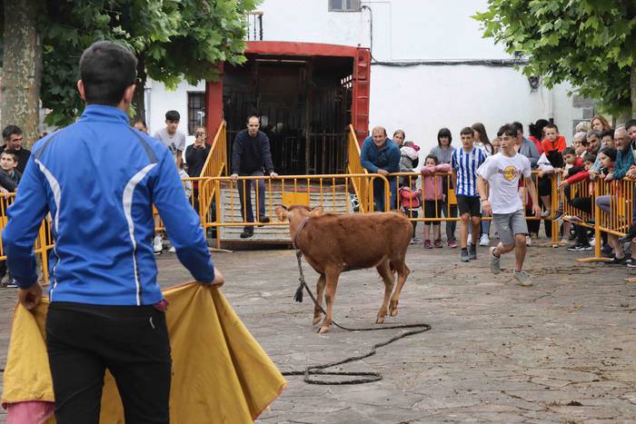 Zezen txikien aurretik 15 1656263617271