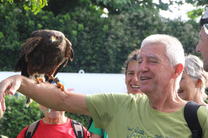 2016 bidea 25 1471775922529