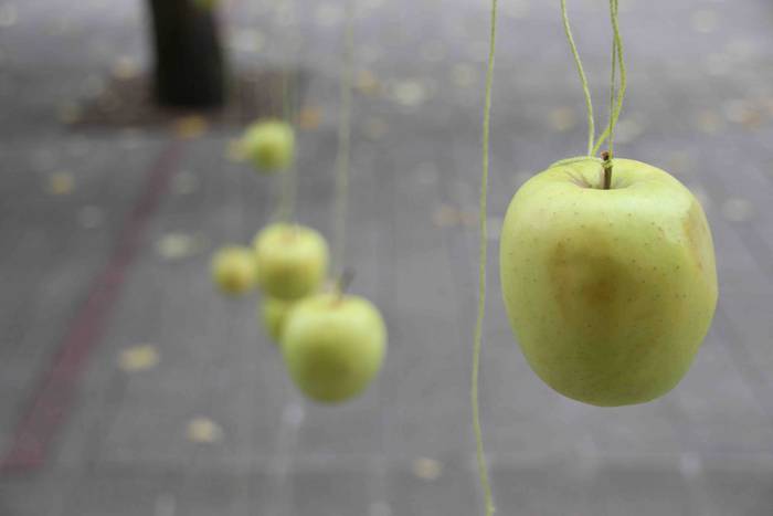 Azku Eguna Ibarra 2018 32 1540039771343