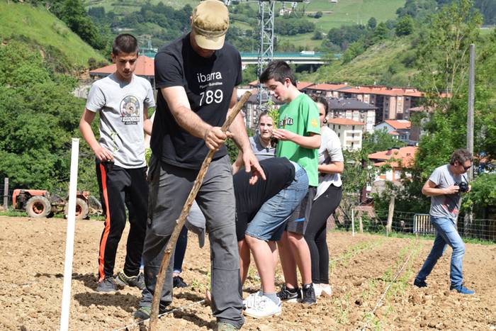 Piper landaketa Ibarran, 201 43 1494844534607