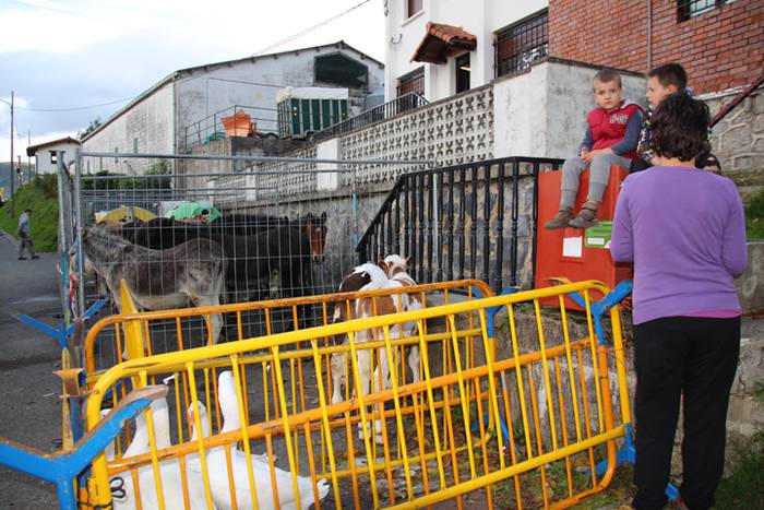 Bertako produktuak nagusi 2 1477233018240