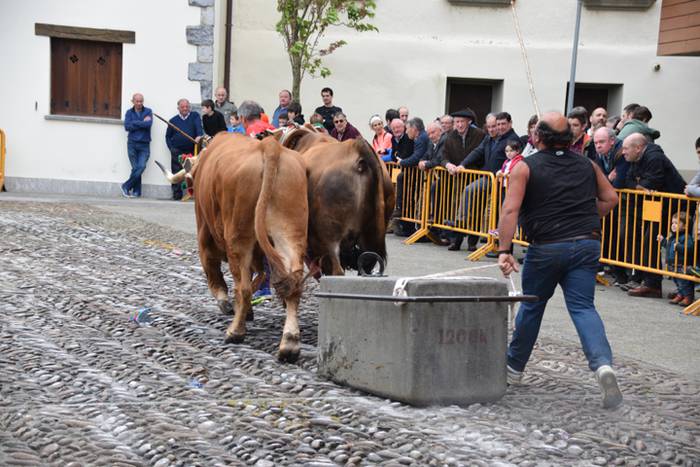 San Isidro eskualdean zehar 3 1463322517108