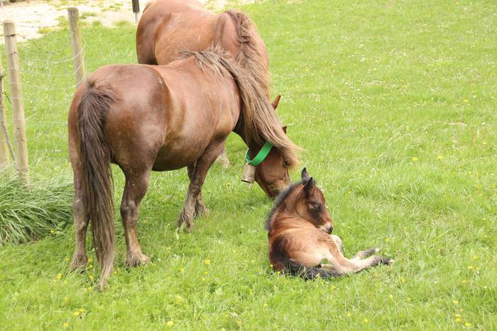 Larre irekiera ekitaldi bere 31 1588336791411