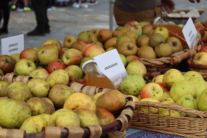 Lehen azoka ekologikoa egin  12 1635685248267