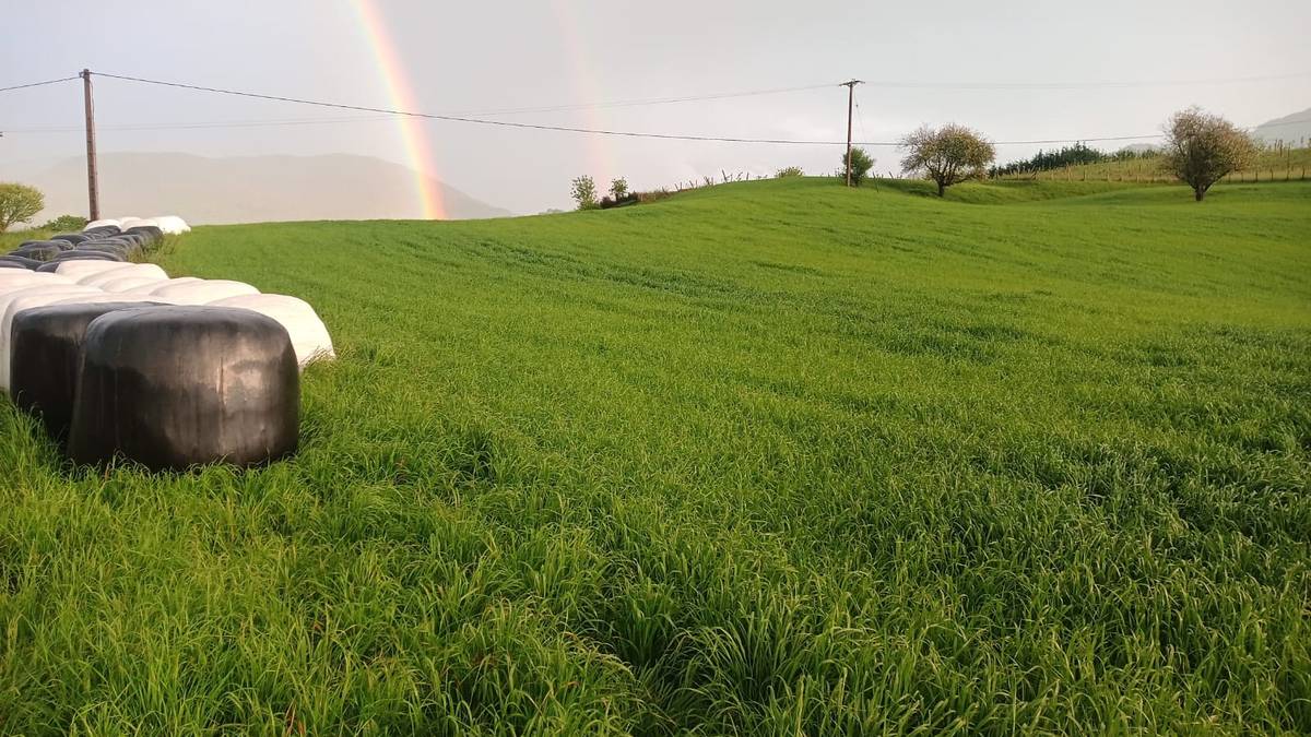 Baserritarrek foro bat sortzea proposatu dute