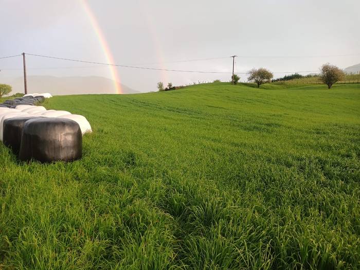 Baserritarrek foro bat sortzea proposatu dute