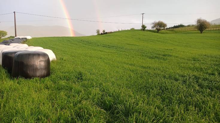 Baserritarrek foro bat sortzea proposatu dute