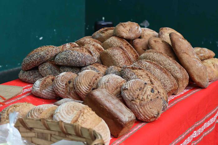 Postuz bete da Alegiako fron 19 1664109247810