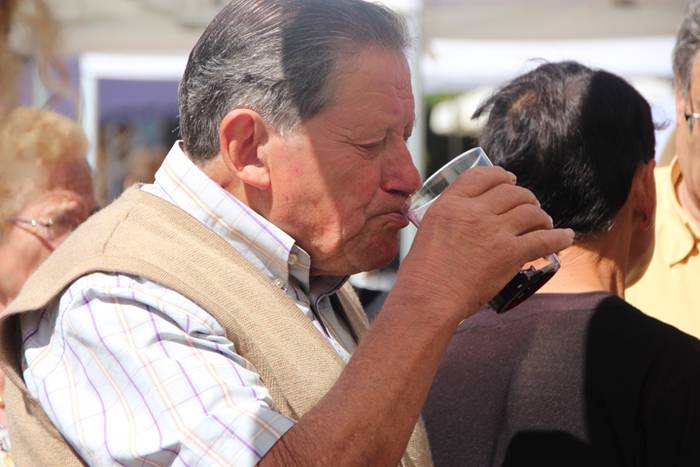 Udaberriko azoka Berrobin 6 1494770414666