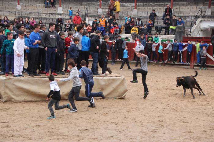 Txaranga eta zezenak piñata  4 1488738741323