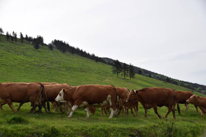 BERASTEG LARRE IREKIERA 2022 23 1652525079190