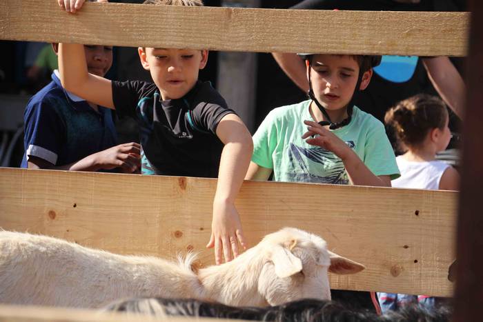 Euskaldunak asetzeko festa 51 1570976339843