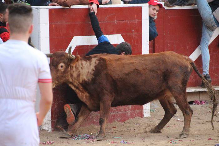 Tolosako Inauteriak 2022 Ast 26 1646130169929