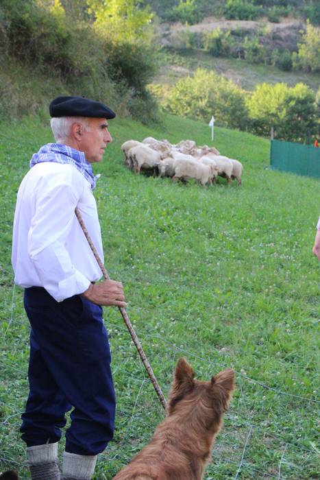 Artzaina eta txakurraren artea Amezketan 4 1472322281969