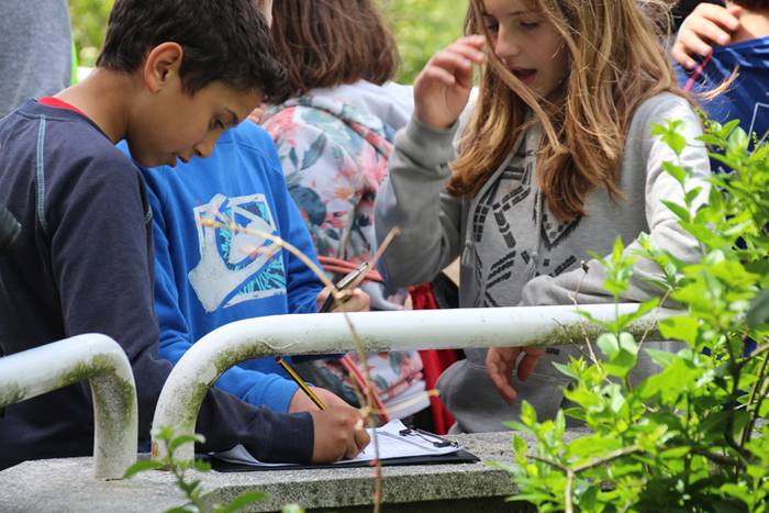 Espezia inbaditzaileak 12 1494600476101