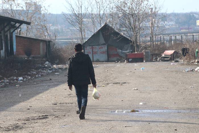 TOLOSATIK BELGRADORA 2017 5 1486494018770