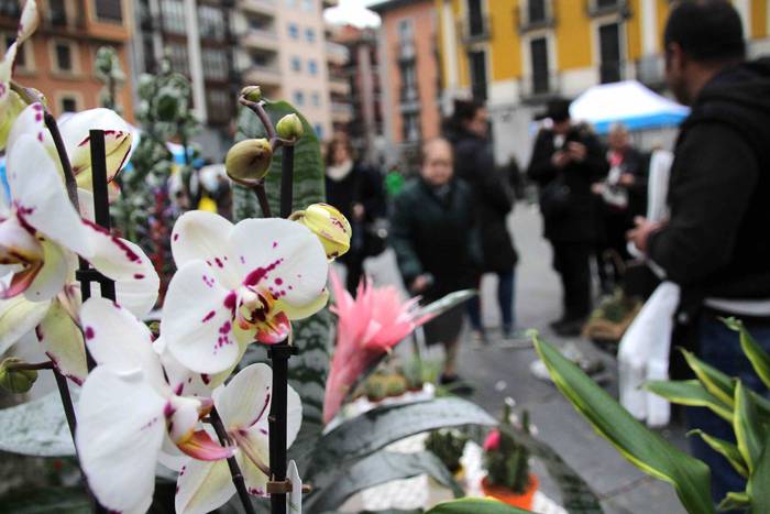 Erein eta zaintzearen magiak 17 1581165935697